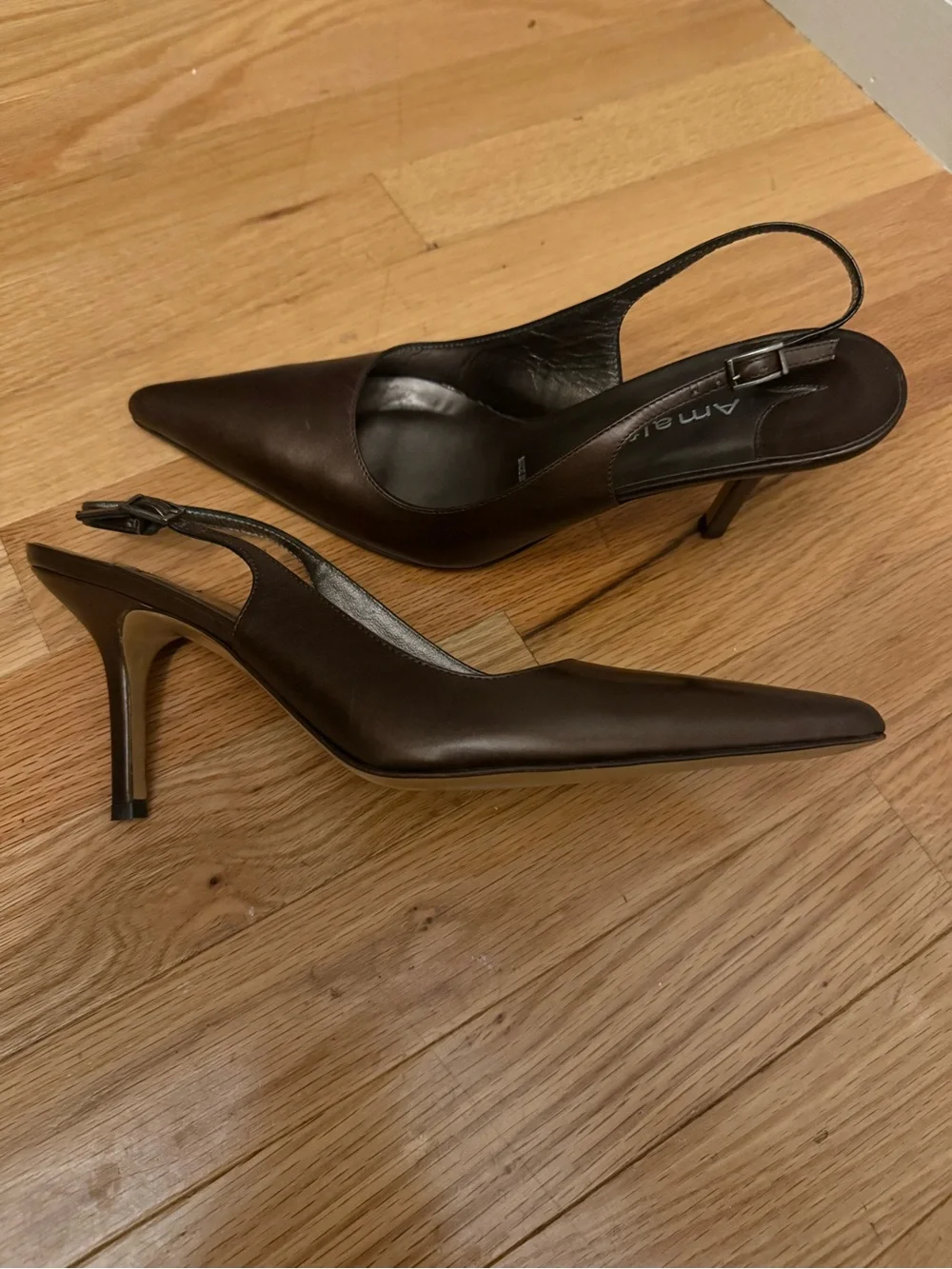 Amalfi Chocolate Brown Pointed Slingback Pumps
